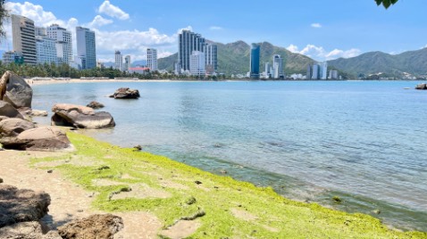 Mình tự dán thấy ok đó mọi người, nên mua nhé
Hình ảnh mang tính chất nhận xu Mình tự dán thấy ok đó mọi người, nên mua nhé
Hình ảnh mang tính chất nhận xu