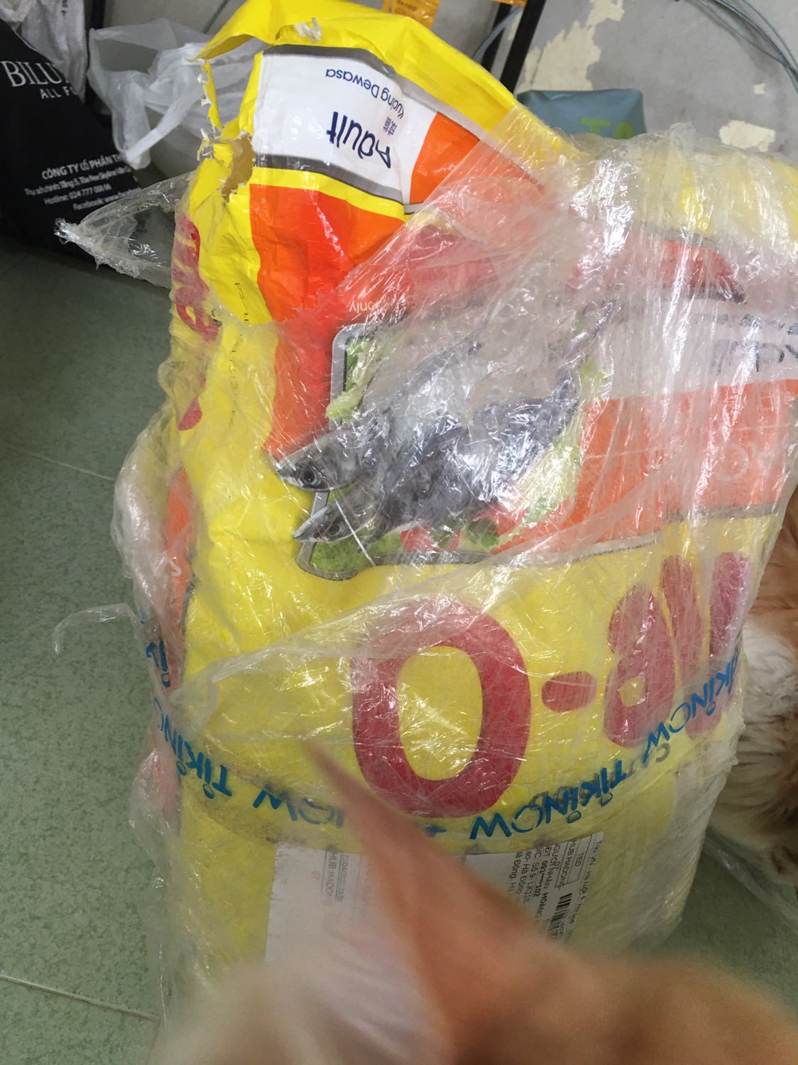 Tiki giao hàng đã bị chuột đục lỗ gọi điện lên thì bảo email để đến thu hồi hàng, email xong thì bảo gửi thêm hình, gửi hình xong thì bảo chờ có người đến lấy nhưng chờ cả chục ngày rồi ko ai liên lạc để lấy hàng đổi. Làm ăn chán quá Tiki giao hàng đã bị chuột đục lỗ gọi điện lên thì bảo email để đến thu hồi hàng, email xong thì bảo gửi thêm hình, gửi hình xong thì bảo chờ có người đến lấy nhưng chờ cả chục ngày rồi ko ai liên lạc để lấy hàng đổi. Làm ăn chán quá