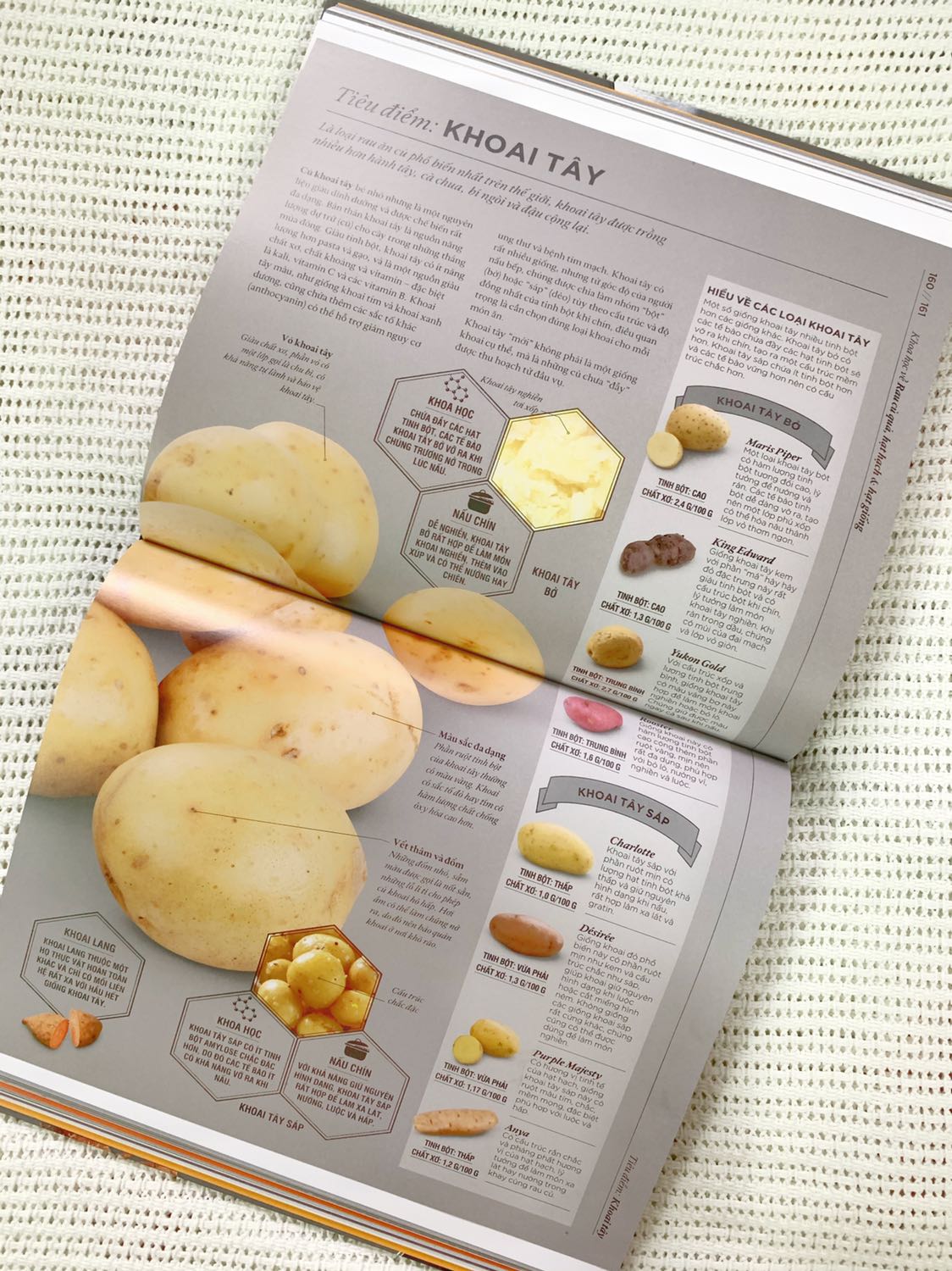 Một quyển bách khoa về các nguyên liệu trong ẩm thực. Sách thiên về giới thiệu công dụng của các dụng cụ nhà bếp, giải thích các thành phần dinh dưỡng trong thực phẩm và quá trình biến đổi chất khi nấu ăn, từ đó hướng dẫn bạn đọc cách chế biến món ăn sao cho thơm ngon mà vẫn giữ được độ dinh dưỡng nhất định.
Sách cầm nặng tay, in màu toàn bộ, chất lượng giấy in tốt và màu sắc sinh động. Một quyển bách khoa về các nguyên liệu trong ẩm thực. Sách thiên về giới thiệu công dụng của các dụng cụ nhà bếp, giải thích các thành phần dinh dưỡng trong thực phẩm và quá trình biến đổi chất khi nấu ăn, từ đó hướng dẫn bạn đọc cách chế biến món ăn sao cho thơm ngon mà vẫn giữ được độ dinh dưỡng nhất định.
Sách cầm nặng tay, in màu toàn bộ, chất lượng giấy in tốt và màu sắc sinh động.