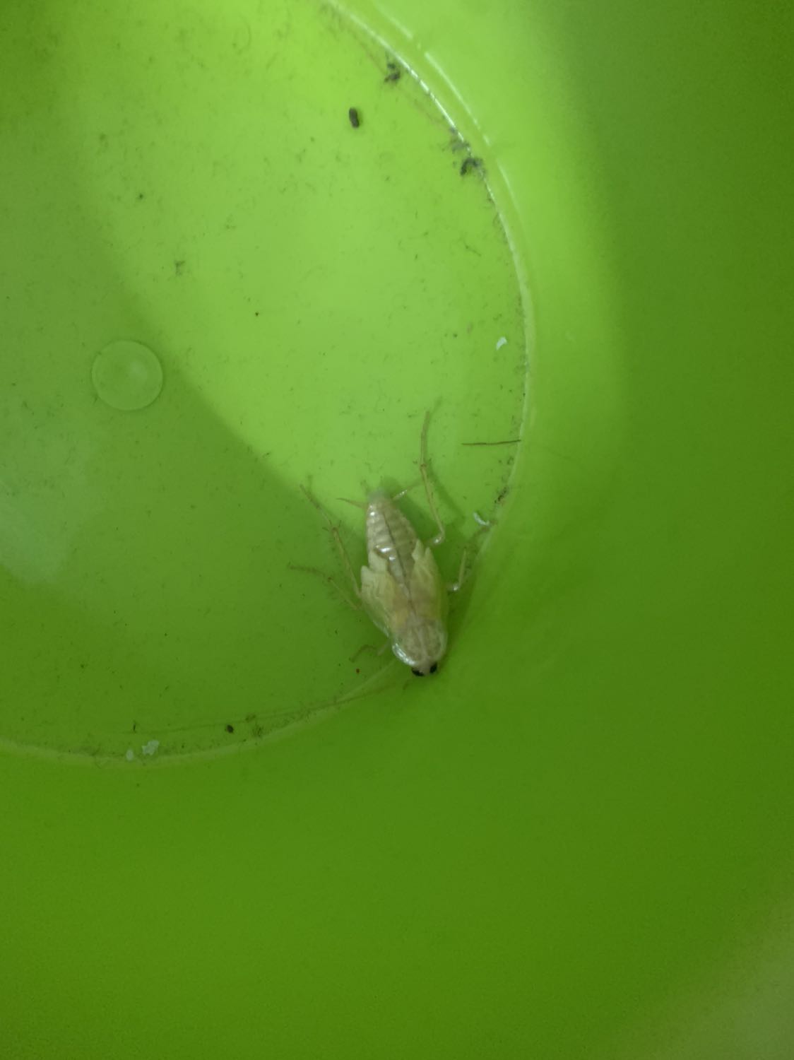 Giao hàng nhanh . Chưa dùng chưa biết thế nào .