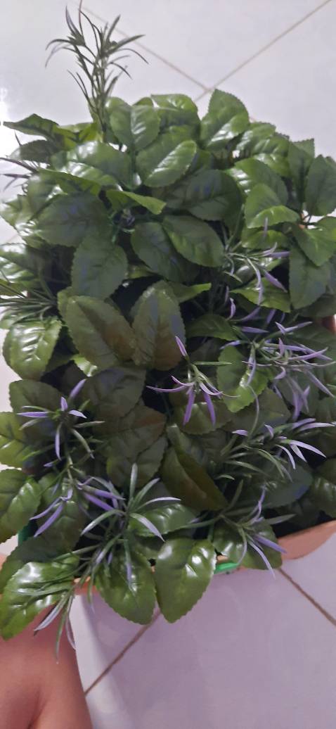 Thảm đẹp giá hợp lý