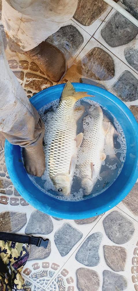 Giao hàng đầy đủ số lượng đã đặt, mẫu mã đẹp dễ sữ dụng độ bền tùy người sủ dụng