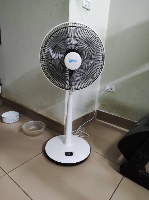 Quạt rất êm, gió nhiều cấp độ, chắc chắn, nói chung là ưng ý, chỉ còn độ bền là chưa biết !