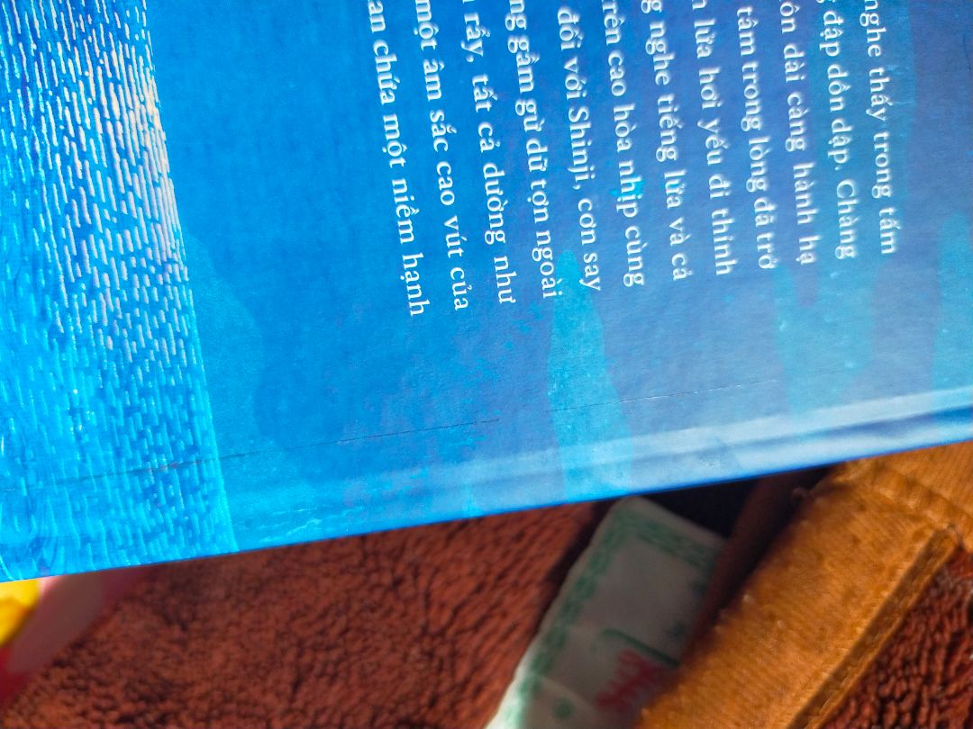 Bản thân cũng khá dễ trong việc sách bị rách một ít, tuy nhiên lần này đặt khiến mình cũng rất nản hơn khi đặt Tiki. Sách như được để ngoài, bụi dính rất nhiều, rách rất nhiều chỗ, ngoài ra còn bị bẩn nữa( bìa này lại không được đóng seal như bìa kia ) mình mua về cho đủ 2 bìa, mà rách như này không biết trưng như nào =)), từ đơn này cũng như các đơn trước mình cảm thấy Tiki đóng gói không tôn trọng khách mua. May lắm thì không bị rách hay df cả !