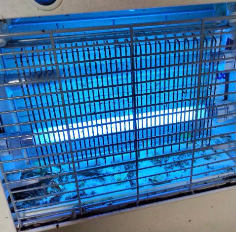 Đèn diệt muỗi và các loại côn trùng cực hiệu quả, tôi dùng nhiều loại, nhưng loại này thì khác biệt thưc sự, nhà gần kênh nước nên khá nhiều muỗi. nay tôi mua thêm 1 cái mới và thêm 1 bóng đèn thay thế cho cái này lúc trước mua chắc 1 dùng 1 năm rồi.