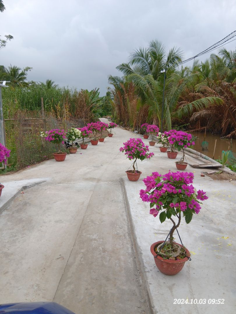 sản phẩm giao đúng. sử dụng ổn định