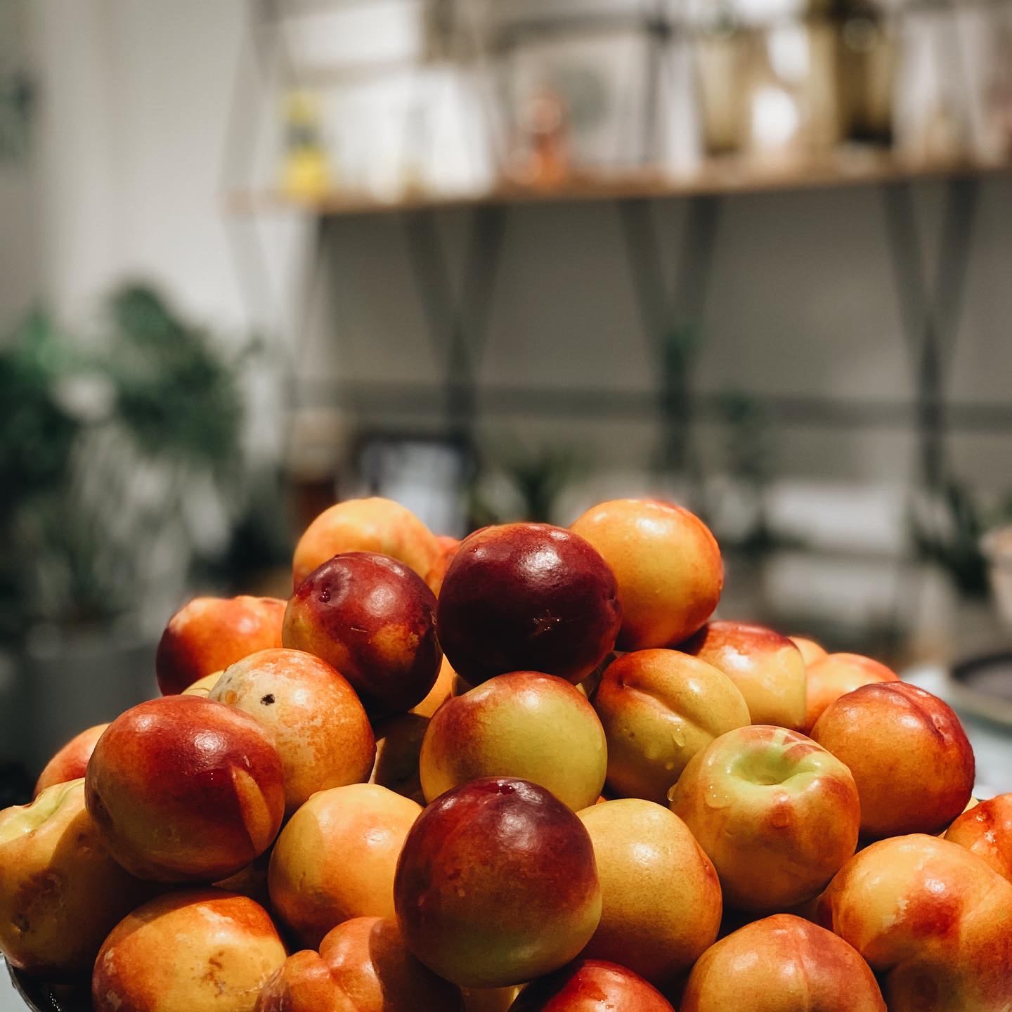 Sp OK ngon ? có ? ???????????????????????????????