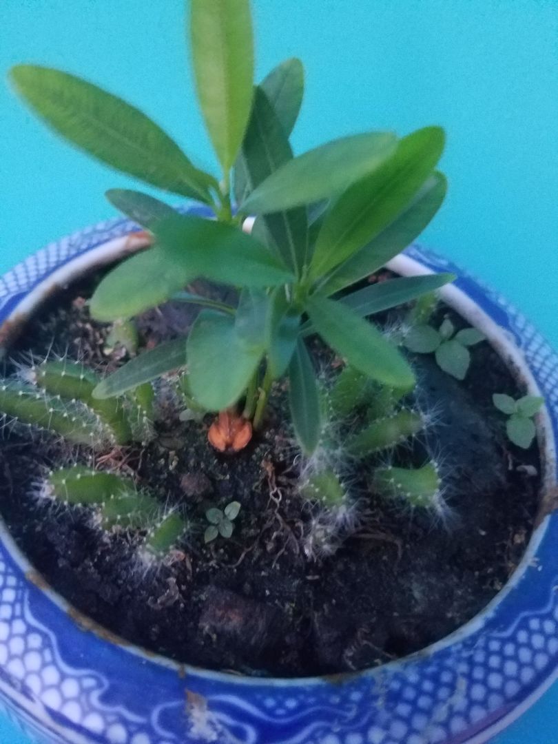 Hàng đúng chất lượng