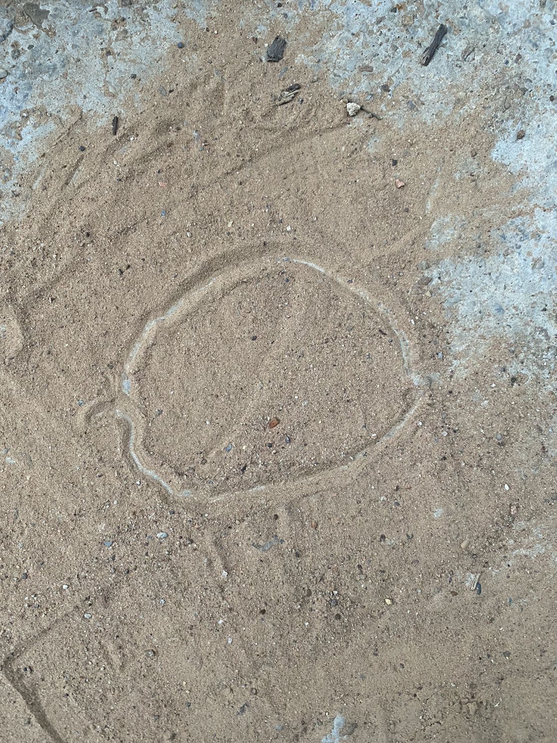 Giao hàng nhanh, sách đẹp. Sách này rất hay, bé đầu mình đã áp dụng rất thành công (mà hồi đó đọc ebook ^^), nay bé thứ 2 thì mình mua sách về xem các chương cho tiện
Tiện thể mom nào mua quyển Nuôi con không phải là cuộc chiến 2 thì review nội dung mình tham khảo với nhé