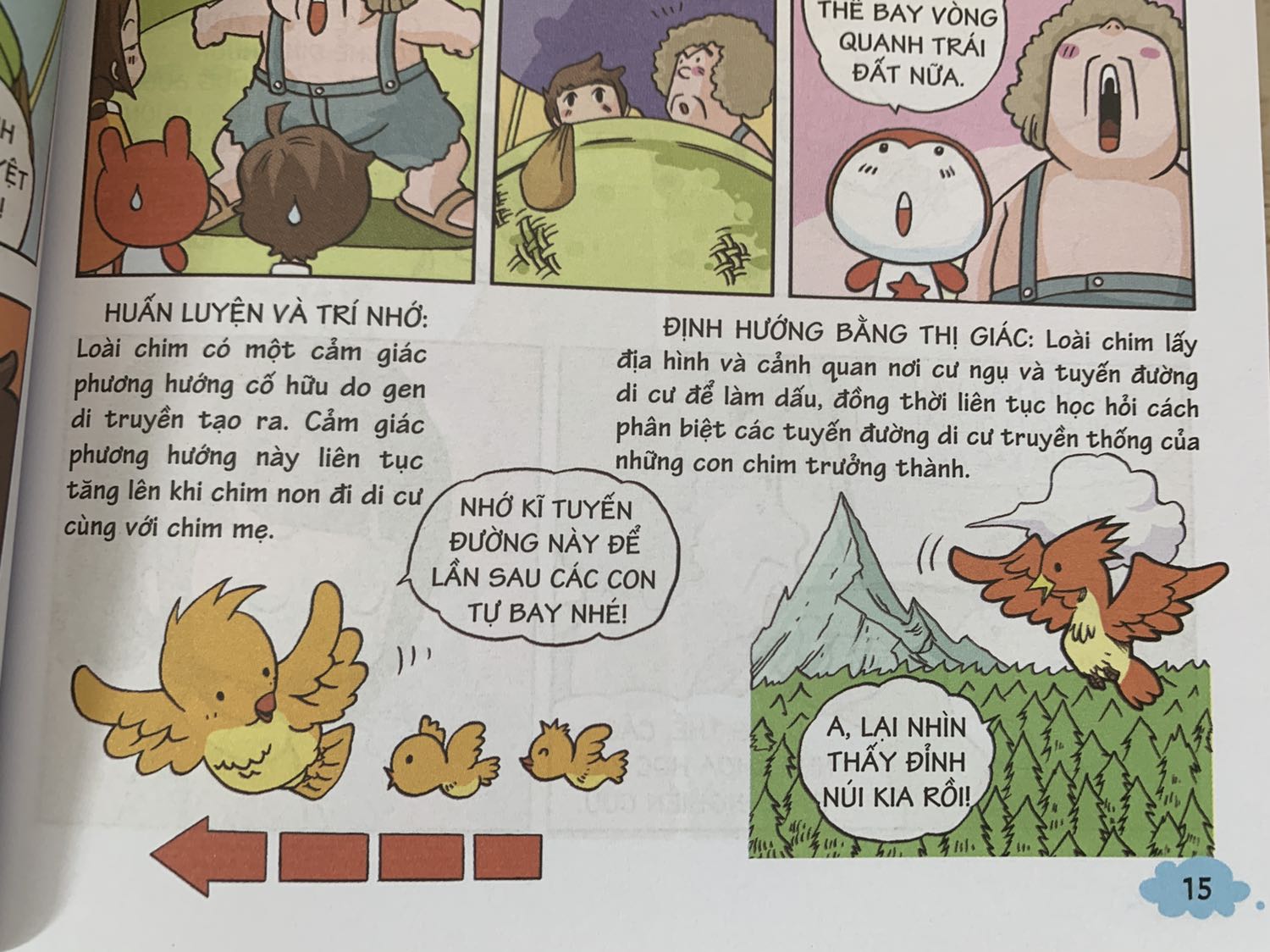 Những câu hỏi được giải đáp sinh động bằng những câu chuyến ngắn dí dỏm làm bé đọc và nhớ lâu hơn. Có những câu hỏi mà người lớn còn chưa biết nè!