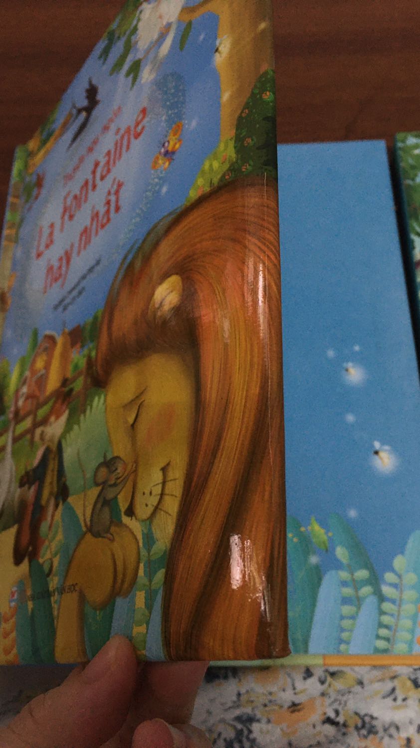Quyển truyện cổ tích của Charles Perrautt thì bìa làm sắc sảo, có kim tuyến đẹp.
Còn quyển truyện ngụ ngon La Fontaine thì nhìn như sách giả: bìa mềm mềm, ko có kim tuyến đẹp, sách nhẹ hơn quyển Charles Perrautt. 
Cùng là bộ sách trong Tủ sách vàng cho con, nhưng sao chất lượng trình bày khác nhau như vậy???