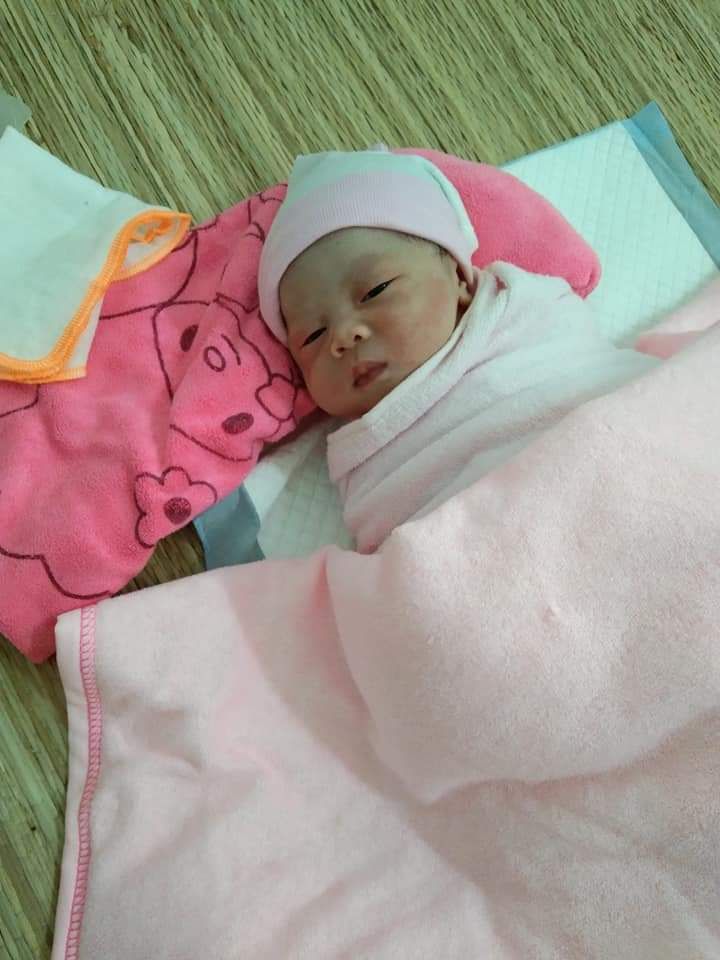 spham trong tốt giống mô tả đẹp bao gói cẩn thận spham trong tốt giống mô tả đẹp bao gói cẩn thận
