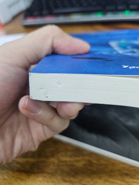 Sách của mình bị nhăm nhăm lỗ lỗ như thế này, mình ko thích bị vậy. Chất lượng ok