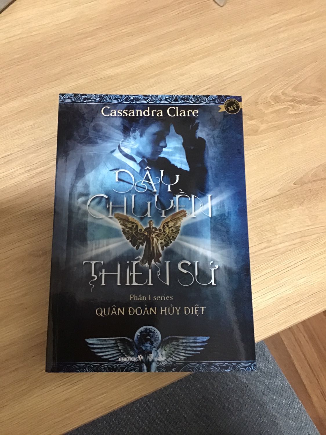 Nếu ai đã là fan của series Vũ khí bóng đêm, thì không thể bỏ qua series Quân đoàn hủy diệt này, vẫn là câu chuyện xoay quanh về thế giới của các thợ săn bóng đêm, nhưng bối cảnh câu chuyện như ngược dòng thời gian đưa người đọc về nước anh dưới thời Victoria, với các nhân vật đã từng xuất hiện trong series vũ khí bóng đêm: như James carstais, tessa gray và Will Herondale, cũng như giải thích phần nào bí ẩn xoay quanh về những người con thất lạc của nhà Herondale. Nội dung kịch tính trên từng trang sách, đưa người đọc như phiêu lưu vào 1 thế giới khác.
Điểm trừ nhẹ, sách xuất bản lần này không đồng đều, khi cuốn 2 có vẻ dài hơn cuốn 1 chút xíu, nhưng vì nội dung có thể lướt qua cg dc.