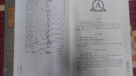 Với một lượng từ mục phong phú (gần 2000) trải dài qua nhiều thời đại cho thấy sự đầu tư công phu của tác giả trong việc khảo cứu và biên lục giúp người đọc thấy bức tranh vừa tổng thể vừa hết sức chi tiết về hệ thống quan chế trong các triều đình phong kiến Việt nam. Công trình này có thể coi là một công cụ hữu ích cho độc giả sử dụng khi đọc hay nghiên cứu lịch sử cổ, trung đại Việt Nam.
Dù vậy nhưng tác phẩm này theo cá nhân tôi vẫn có nột số hạn chế. Việc không nhất quán trong cách biên tập, trình bày các mục từ dẫn đến nhiều nội dung bị trùng lắp, thừa thãi trong khi nhiều nội dung khác còn sơ sài đặc biệt ở một số từ mục vẫn thiếu phẩn giải nghĩa nội hàm tên gọi và chức năng nhiệm vụ của chức quan hay cơ quan. Sẽ hợp lý hơn nếu lấy việc trình bày các “chức quan của Việt Nam “ làm trọng tâm,  tên chức quan, cơ quan, quan chế các thời phong kiến Trung Quốc dù là cơ sở quan trọng cho việc khởi đặt, tham khảo cho quan chế Việt nam cũng chỉ nên đặt, trình bày ở vị trí phụ chú hay chú thích.