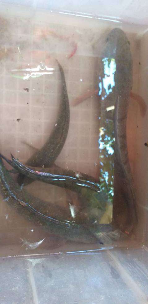 ok nhưng mà mới chia tay người yêu nen hơi buồn