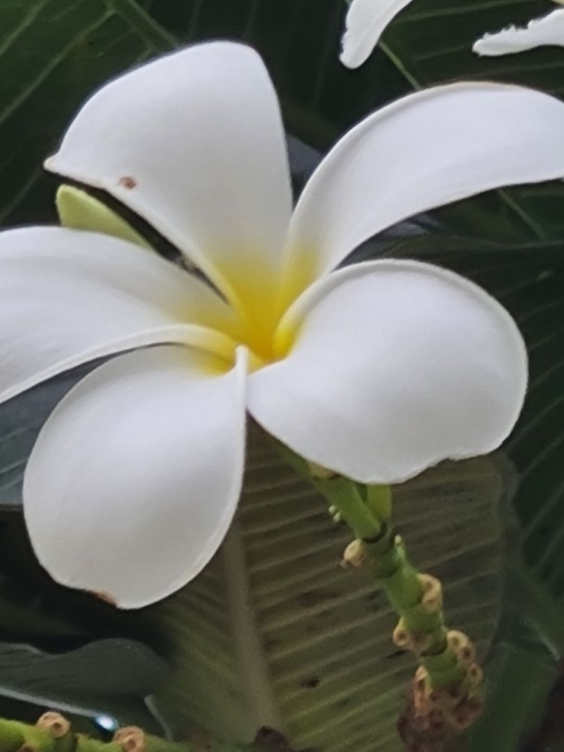 cực kỳ hài lòng