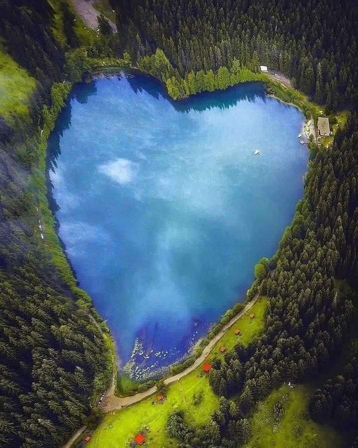 sách hay, đọc lôi cuốn, mình rất thích. Có điều sách của mình mấy trang giữa sách bị nhăn nhúm rất nhiều lúc mới mua về. Mong tiki  khắc phục. điều này