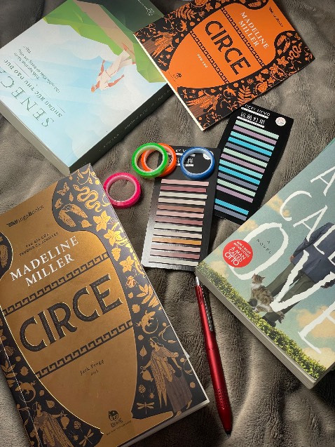 Dịch giả xuất sắc. Bản chính đã thơ rồi, bản dịch còn thuê thêm hoa trên gấm. Thơ tột đỉnh 👍