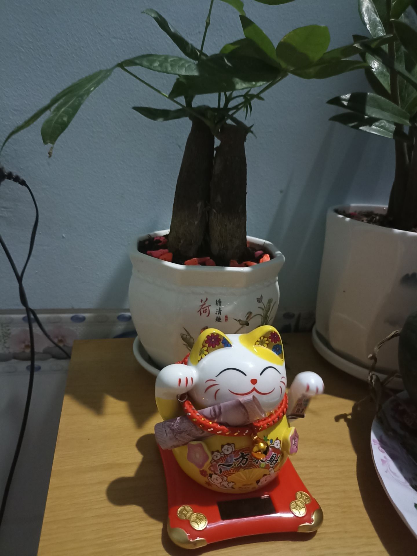 Rất hài lòng với cây cảnh bên shop nha🥰