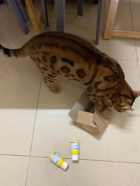 Thuốc diệt kiến 🐜 gián 🪳 này rất hiệu nghiệm, bôi vào các kẽ tủ , kẽ tường …là hôm sau thấy gián 🪳 lăn ra chết như ngả rạ. Date còn xa , tới 01/2024. Thuốc diệt kiến 🐜 gián 🪳 này rất hiệu nghiệm, bôi vào các kẽ tủ , kẽ tường …là hôm sau thấy gián 🪳 lăn ra chết như ngả rạ. Date còn xa , tới 01/2024.