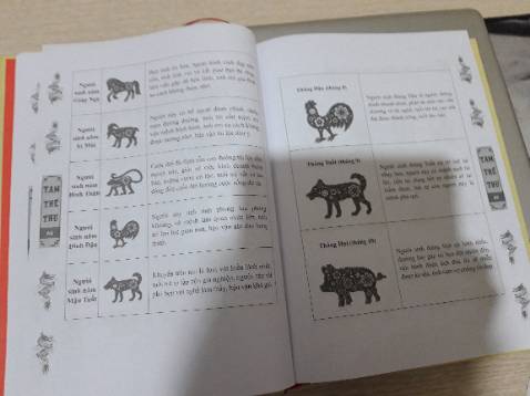 Sách hình thức đẹp, nhận được mình đọc luôn. Nhưng không hiểu sao sách thiếu trang, trang 64 đến 81 luôn. Mong Tiki xử ký giúp mình.