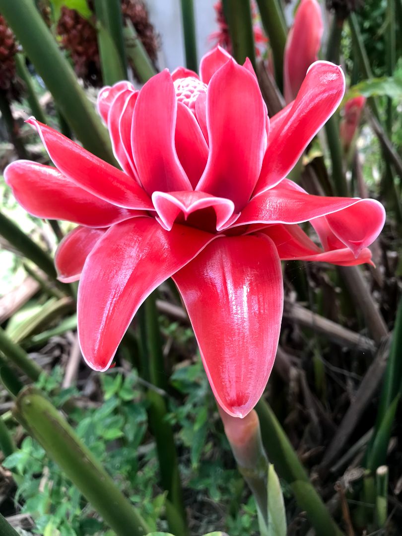 Hạt ngon, giòn, thích nhất là nhiều hạt như loại này, mỗi tội giá hơi cao tí, nhưng tiền nào của nấy ạ. Mình lười chụp hình ạ😊