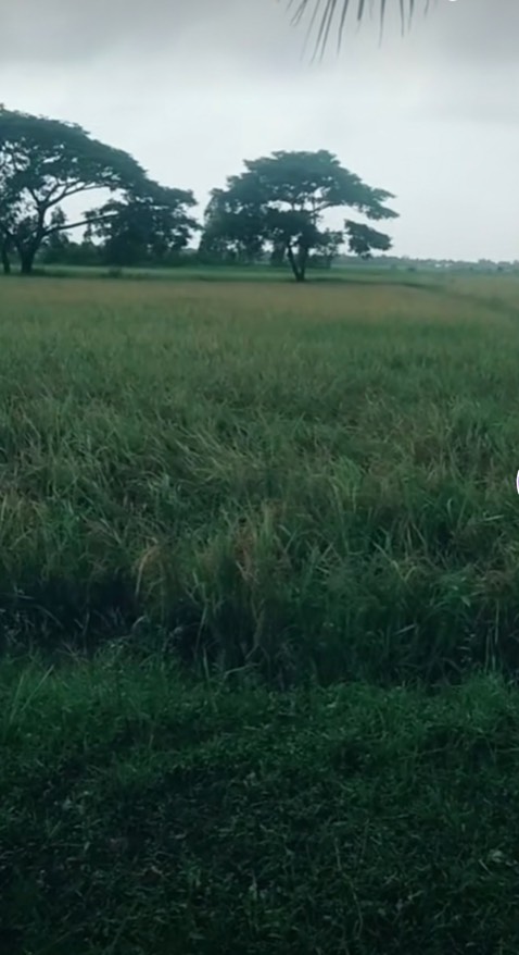 Ok chất luong wa tốt