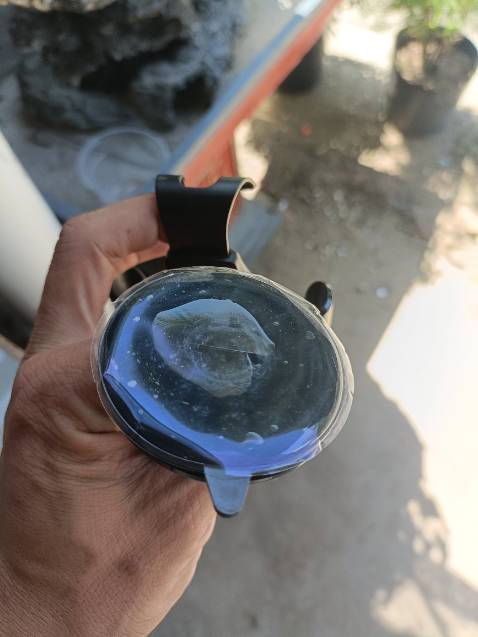 *** mày nha shop giao ko đúng sản phẩm