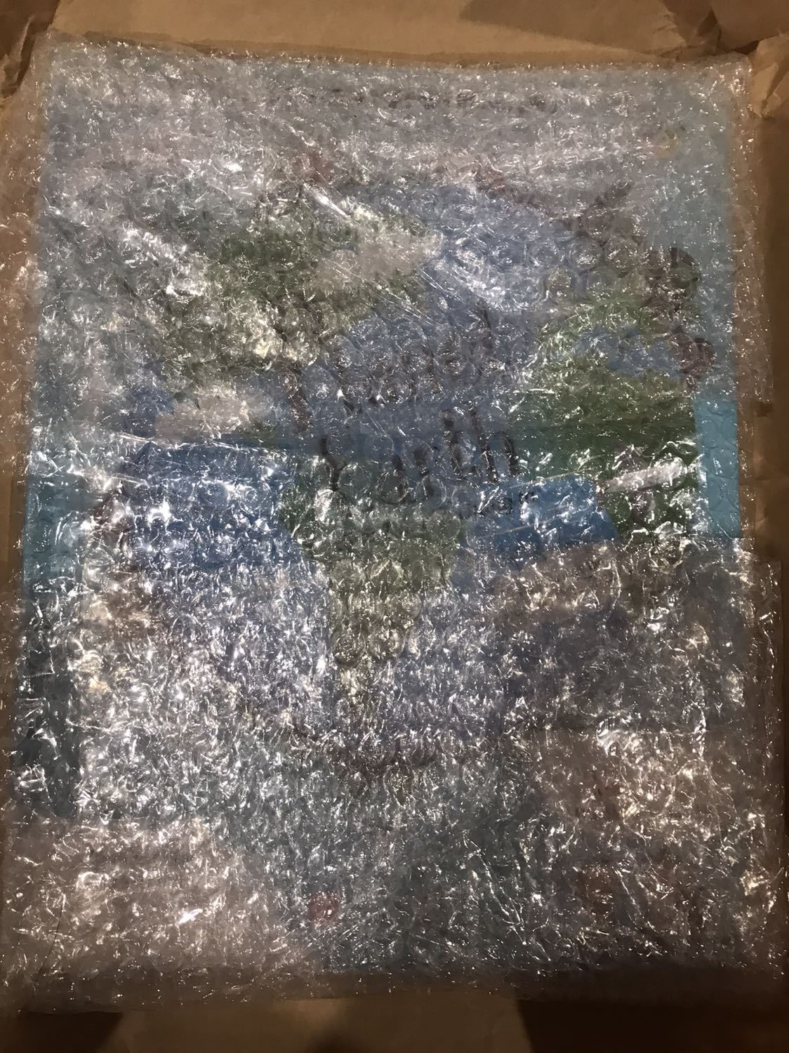 Sách bọc cẩn thận. Sách đẹp, lật mở tương rác khiến con mình rất vui. Thông tin dễ hiểu, dễ đọc. Rất hài lòng với sách Đinh Tị.