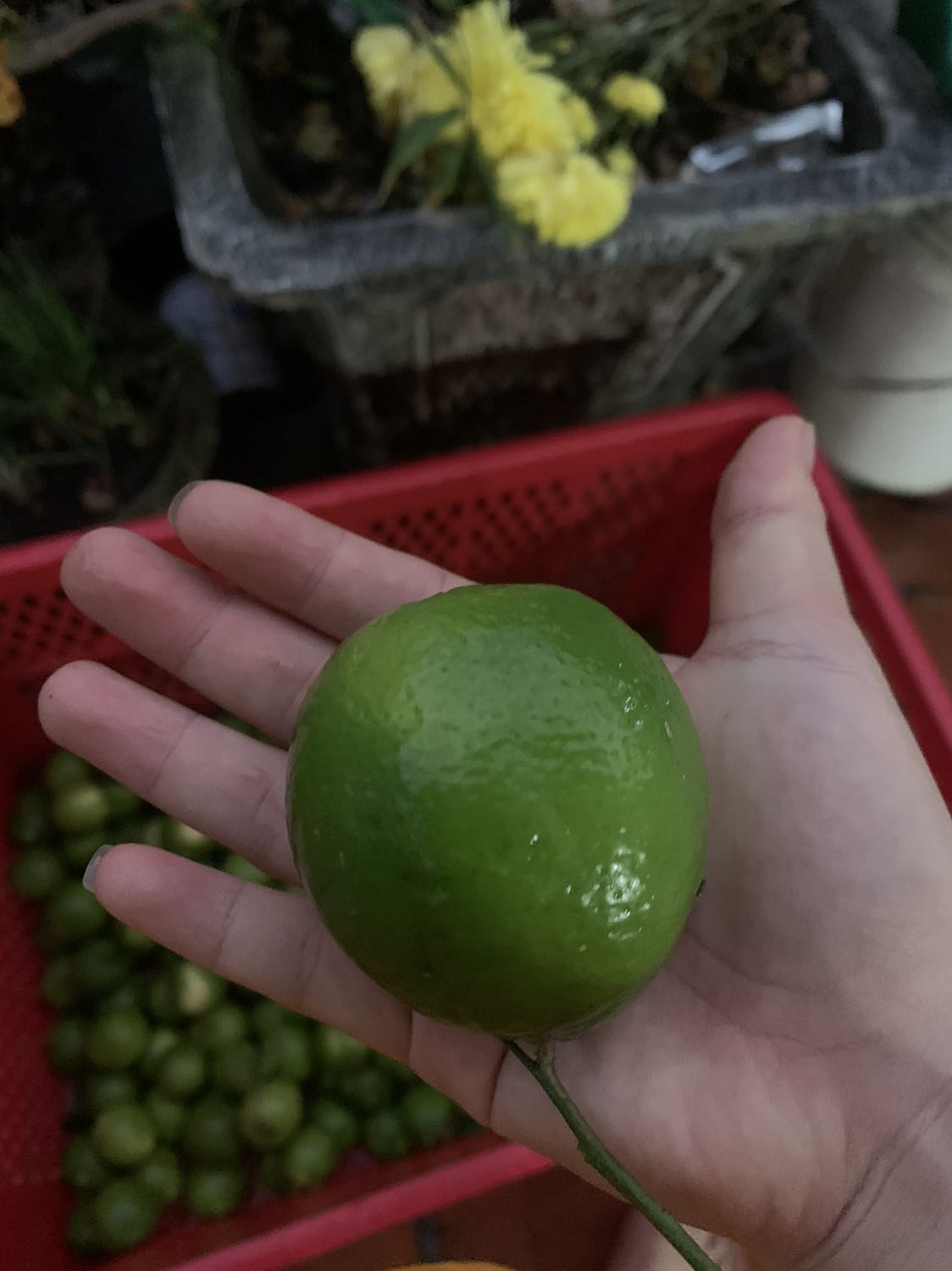 Vẫn đang dùng, ra nhiều mồ hôi. Nóng có nhiều mức để điều chỉnh Vẫn đang dùng, ra nhiều mồ hôi. Nóng có nhiều mức để điều chỉnh