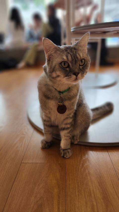 Lần đầu sử dụng nên pha với nhiều nước, thêm mật ong và để lạnh sẽ dễ uống hơn. Mình mới uống 1 hộp chưa thấy tác dụng gì rõ rệt