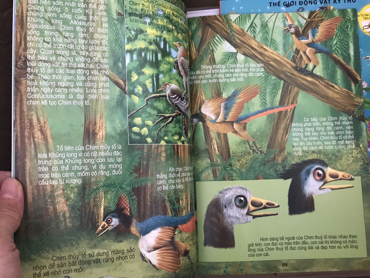 Sách ổn, nhiều nội dung hay. Tuy nhiên có lúc phần hình và chữ nhìn hơi rối. Cần có người lớn hướng dẫn bé xem sách.