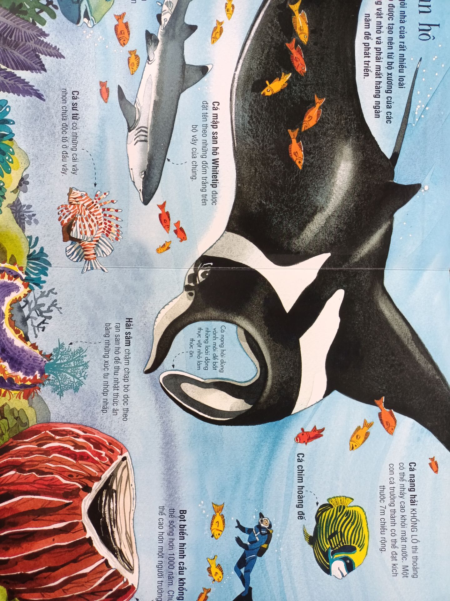 sách rất đẹp sách rất đẹp