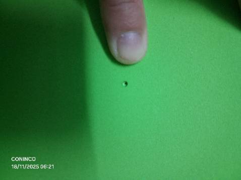 Độ bám sàn chắc. Chất mềm mại. Màu sắc đẹp. Hàng có vài lỗ.