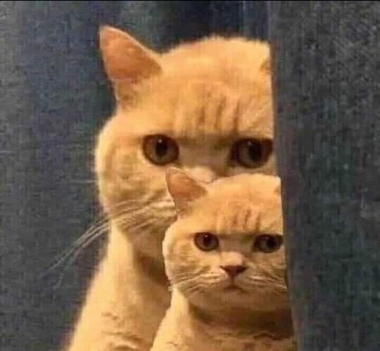 mua dc giá tốt, xài khá ok mua dc giá tốt, xài khá ok