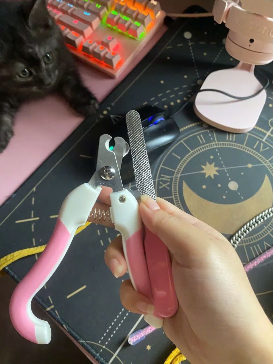 Giao hàng nhanh , ship vui vẻ , sản phẩm tốt , không có gì để chê cả , 5 sao nha