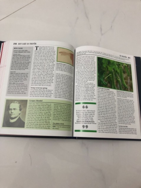 Khỏi phải bàn  5⭐️ :)))🤩🤩🤩