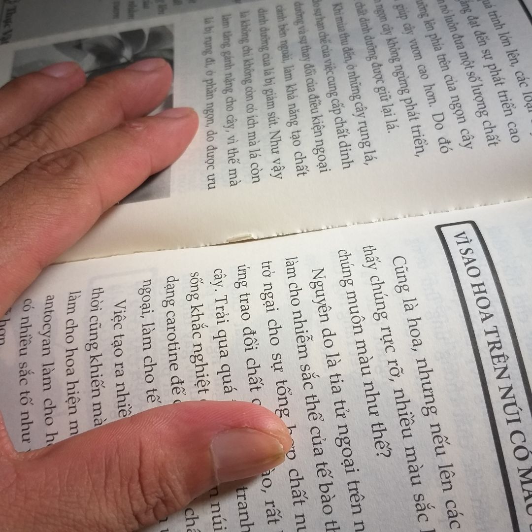 Trước tiên mình xin đánh giá về trải nghiệm mua hàng lần này của mình.
1: giao hàng thì trước thời hạn (20/10/2020) cái này thì ok nha. Nhưng bên giao hàng lại không phải là nhân viên của tiki cái này mình không thích nha.
2: Trước tiên thì sách có bọc nilon mà hình như có ai đó đã xé ra, cái này mình thật sự không hài lòng. Sách mua 1 bộ 5 cuốn mà có 2 cuốn bị lỗi rồi (1 quyển về thực vật, 1 quyển về con người) trong đó cuốn thực vật bị nặng nhất vì 1 chút xíu nữa là trang giấy bung ra khỏi gáy sách, cuốn về con người thì bìa bị bung ra.
Hy vọng tiki sẽ đổi lại cho mình 2 quyển bị lỗi nói trên. Chân thành cảm ơn tiki