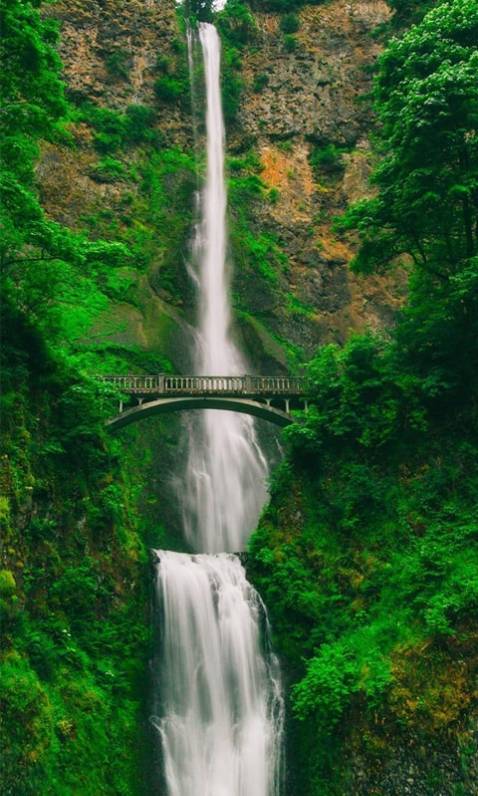 Nói chung là tạm tạm. Mình thấy không hữu ích lắm