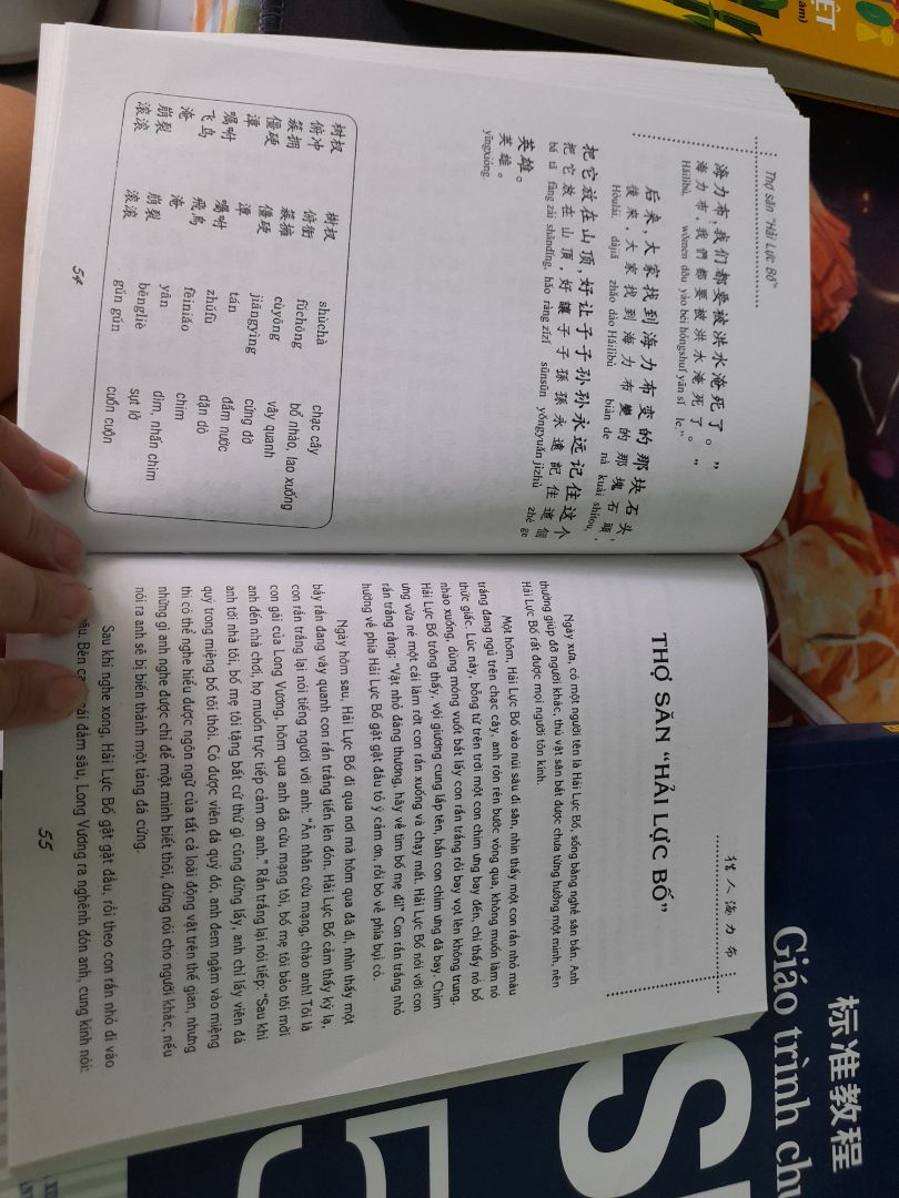 Truyện hay. Mua về luyện đọc và từ vựng. Chứ học chay hoài chán quá. Hsk4 là có thể đọc được kha khá nha mọi người. Có cả chữ giản thể. phồn thể phiên âm và dịch truyện. Tiện lợi phếch. Nên mua về đọc nha