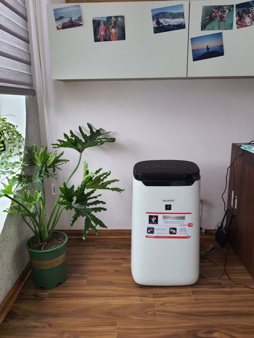 chất lượng thì phải sau 1 thời gian thì mới đánh giá được. Nhưng thời gian giao hàng của tiki khá nhanh.
Mua tháng 12/2021 nhưng hạn bảo hành lại hết vào tháng 12/2021 ? chất lượng thì phải sau 1 thời gian thì mới đánh giá được. Nhưng thời gian giao hàng của tiki khá nhanh.
Mua tháng 12/2021 nhưng hạn bảo hành lại hết vào tháng 12/2021 ?