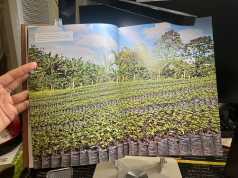 Chất lượng của sách thật sự rất đẹp, hình ảnh minh hoạ sinh động.
Nội dung ngắn gọn nhưng đầy đủ, phù hợp cho những người có đam mê về cà phê và muốn tìm hiểu 1 cách trọn vẹn!