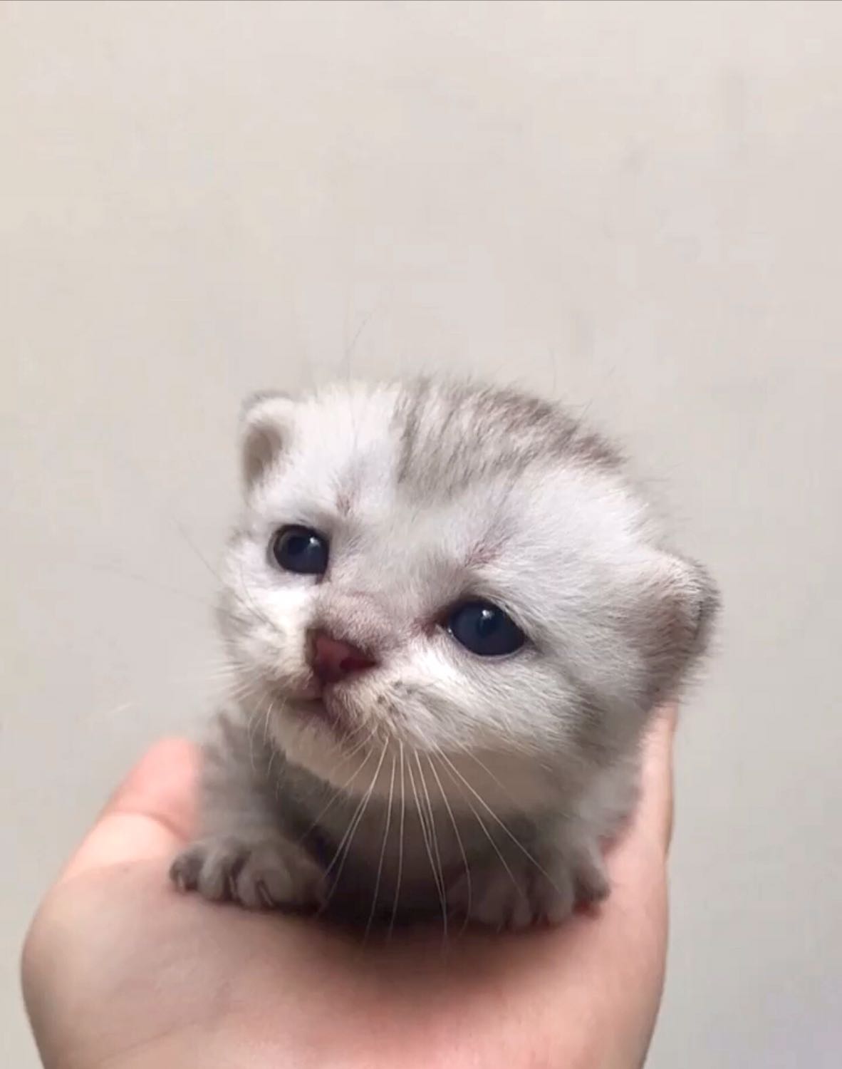 Dùng ổn không chết hết nhưng vậy là ok rồi