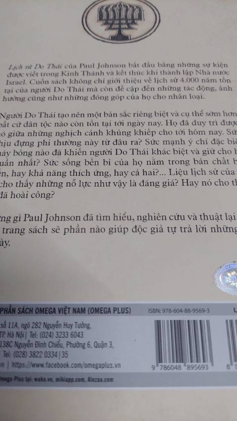 Thế giới có xu hướng coi người Do Thái là một chủng tộc tự trị thời cổ đại và ghi chép lại về mình trong Kinh Thánh, sau đó lui vào hậu trường trong nhiều thế kỷ; tái xuất chỉ để hứng chịu cuộc thảm sát tàn khốc của Đức Quốc xã; và cuối cùng, trở về nơi chốn khởi đầu để lập lại quốc gia của riêng mình: một quốc gia với *** gây tranh cãi và bị bao vây.
Người Do Thái tạo nên một bản sắc riêng biệt và cụ thể sớm hơn bất cứ dân tộc nào còn tồn tại tới ngày nay. Họ đã duy trì được nó giữa những nghịch cảnh khủng khiếp cho tới hôm nay. Sức chịu đựng phi thường này từ đâu ra? Sức mạnh ý chí đặc biệt cháy bỏng nào đã khiến người Do Thái khác biệt và giữ cho họ thuần nhất? Sức sống bền bỉ của họ nằm trong bản chất bất biến, hay khả năng thích ứng, hay cả hai?
Paul Johnson đã kết nối các sự kiện lịch sử lại với nhau để khám phá những gì còn khiếm khuyết, nghiên cứu rồi ghép chúng vào trong một tổng thể  được phân kỳ thành 7 chủ đề chính để có thể giúp độc giả dễ dàng hơn trong việc tiếp cận nội dung.