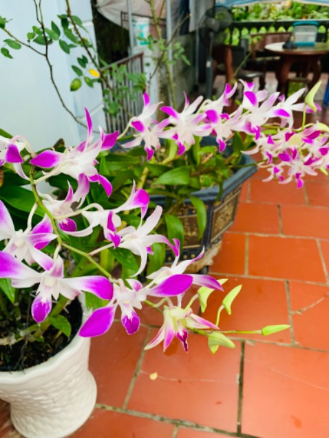 Tốt nhiệt tình chu đáo hài hoà