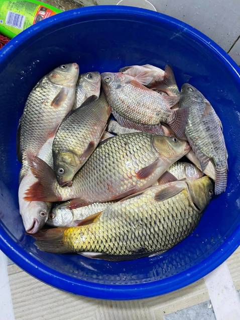 Giao hàng nhanh giá rẻ, phù hợp . Phụ kiện đầy đủ, ok rồi.