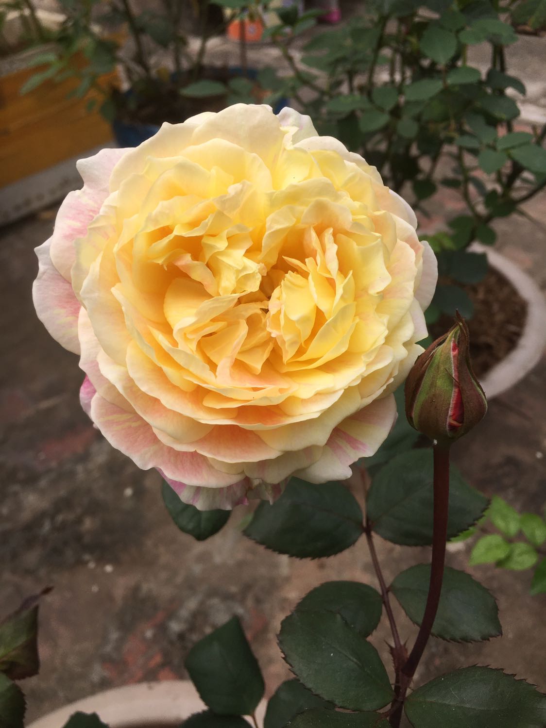 Very good 
Sản phẩm này dùng rất tốt 
Mh rất ưng
Sẽ ủng hộ thêm shop Very good 
Sản phẩm này dùng rất tốt 
Mh rất ưng
Sẽ ủng hộ thêm shop