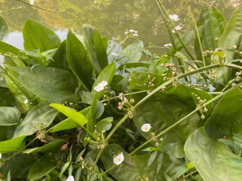 Bao bì đẹp, chất lượng tốt, dùng rất thích