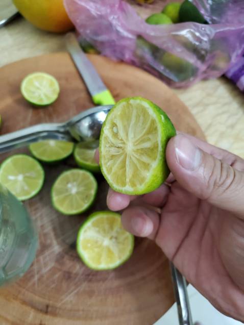 rất tệ nha mọi người. đừng mua kẻo mất tiền. chất lượng sản phẩm rất kém. không ép ra nước được, ép chanh còn i nguyên, thanh nhôm ộp ẹp